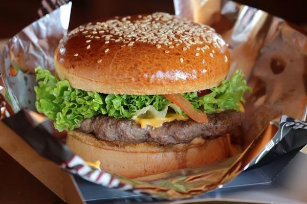 burger 3946012 640