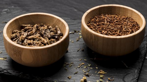 fried insect wooden bowls full shot